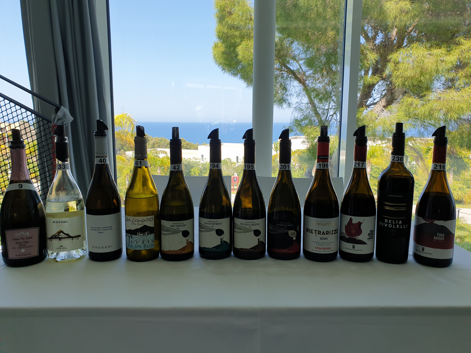 Etna wines